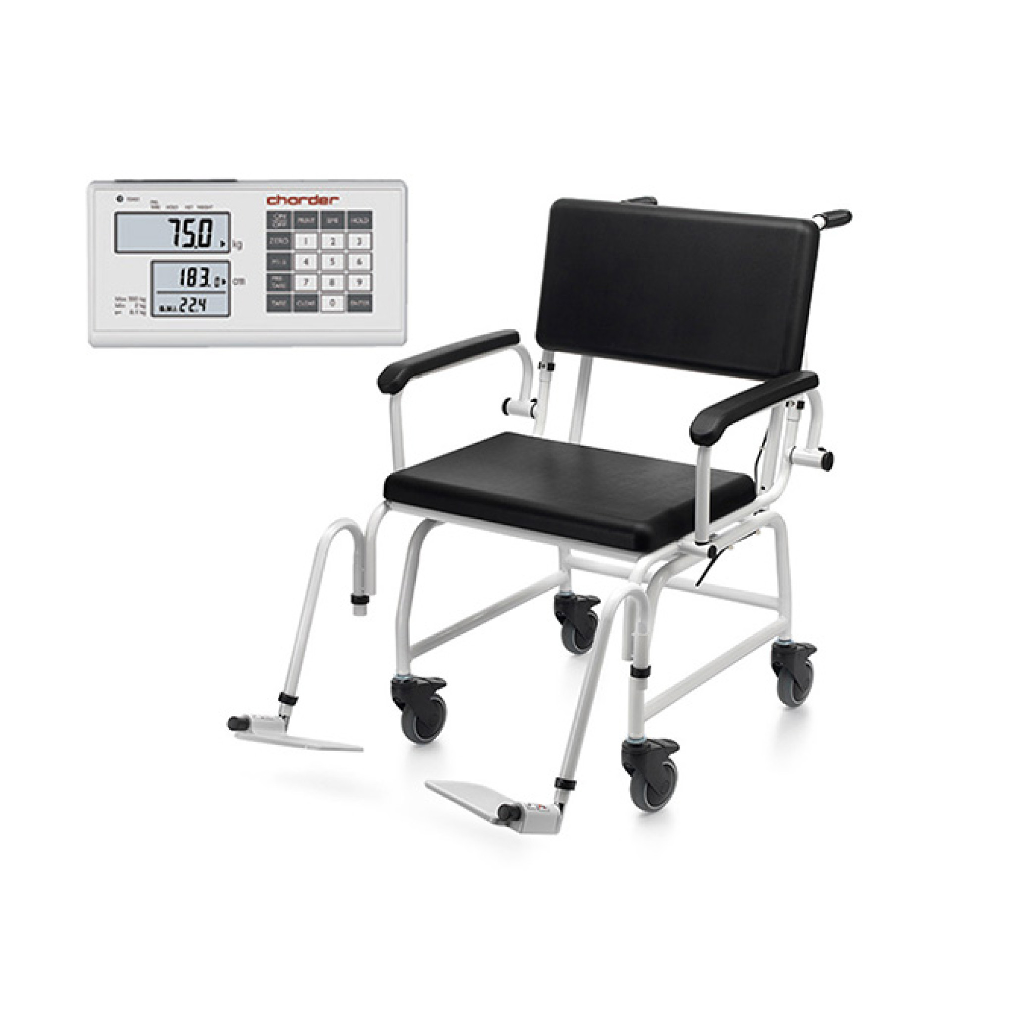 Bariatric Chair Scale Access Health