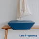 late-pregnancy-1