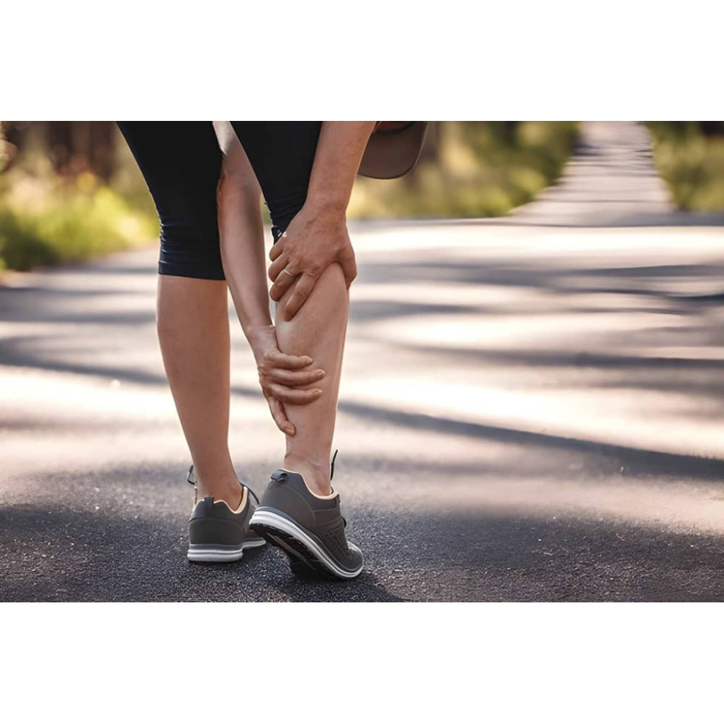 Supports Muscle Circulation